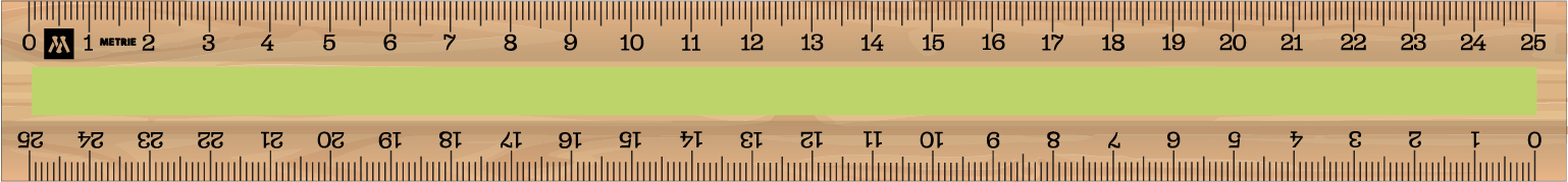 ../../images/print-area/ruler/ruler-11-front-tampon.png