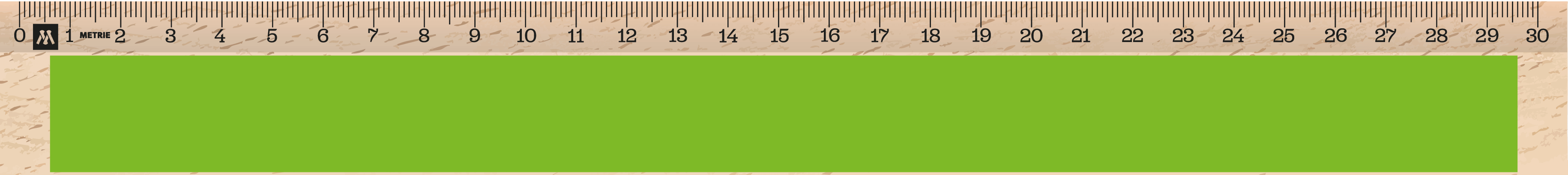 ../../images/print-area/ruler/ruler-13-front-tampon.png